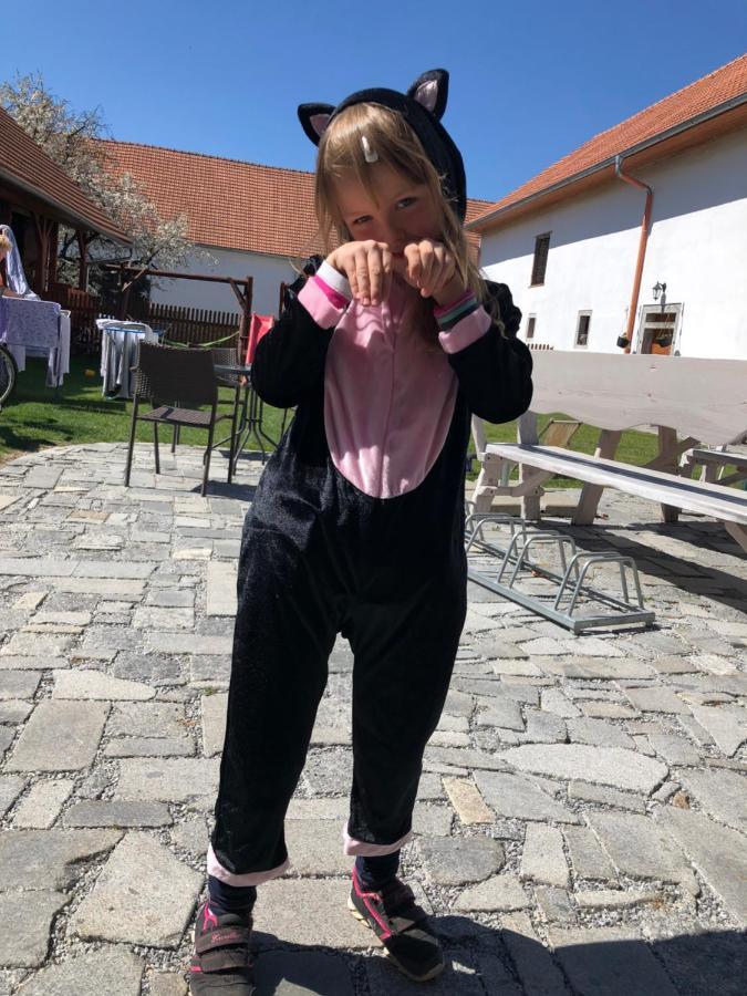 Penzion a hospoda Na statku Hluboká nad Vltavou Esterno foto