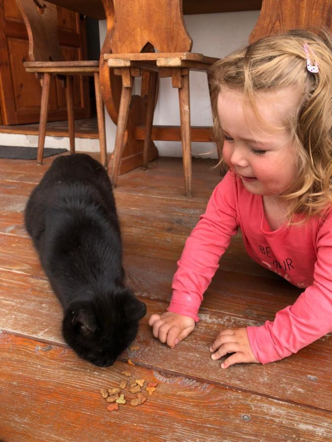 Penzion a hospoda Na statku Hluboká nad Vltavou Esterno foto